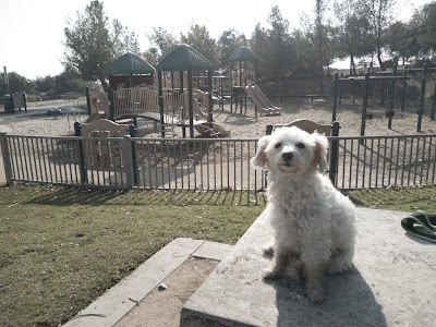 Elysian Fields photo 4