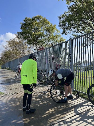 Elysian Fields photo 5