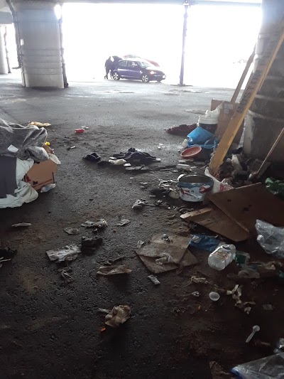 Emerson College Rotch Field photo 2