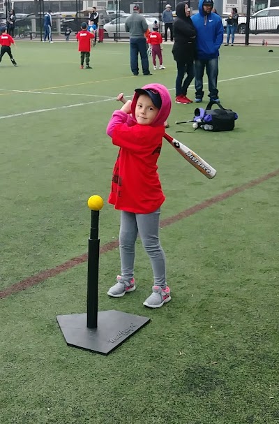 Emerson College Rotch Field photo 3