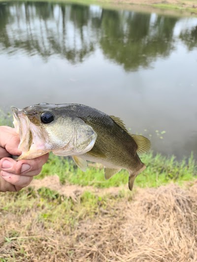 Englewood Sports Complex photo 5