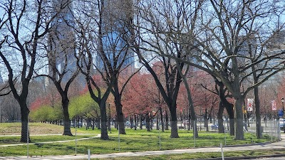 Fairmount Sports Association Tee-Ball Field photo 5