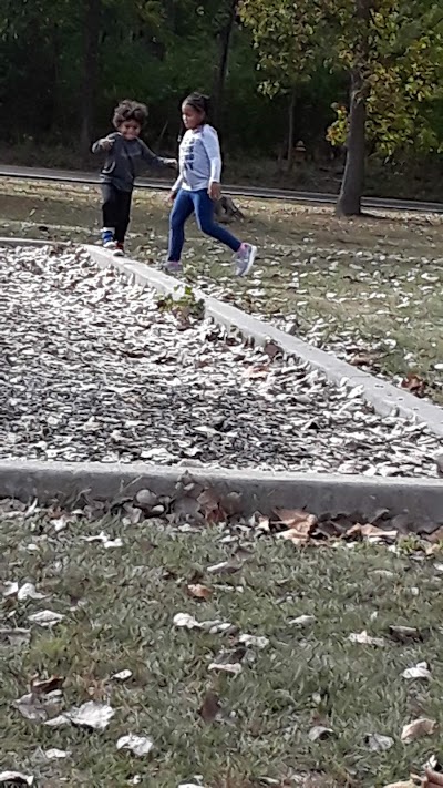 Fall Creek Softball & Baseball photo 2