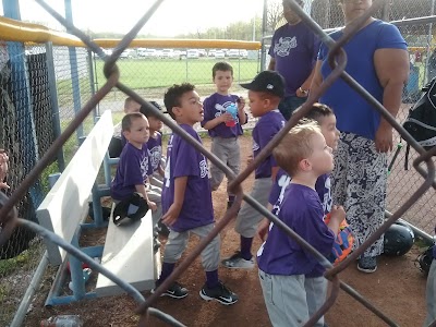 Fall Creek Softball & Baseball photo 3