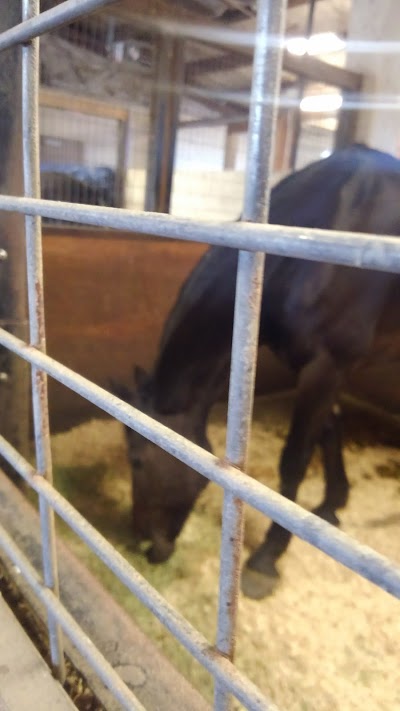 Field 18 Baseball photo 2