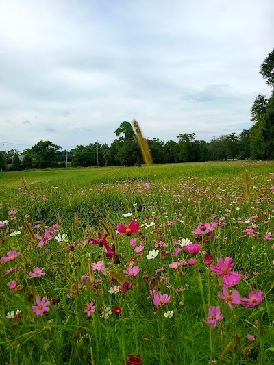 Field 4 Rotary Baseball