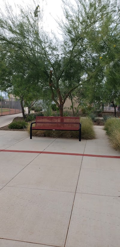 Fiesta Sports Complex photo 3