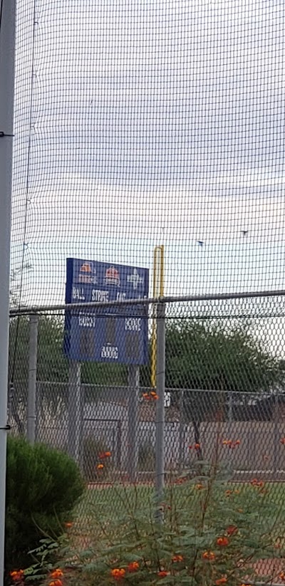 Fiesta Sports Park Baseball Fields photo 4