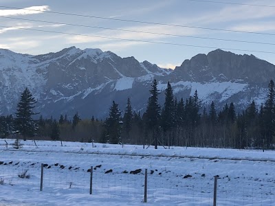 Fiesta Sports Park Baseball Fields photo 5