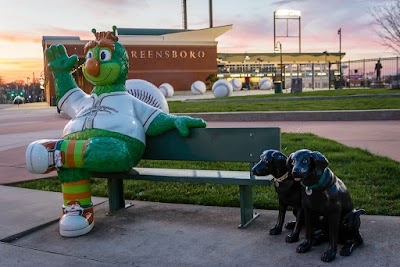 First National Bank Field photo 2