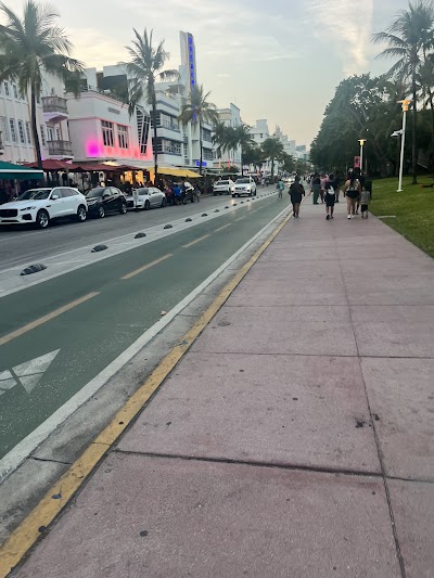 Flamingo Park Baseball field photo 2