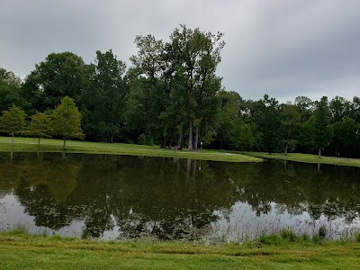 Forest Community Park photo 2