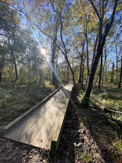 Forest Community Park photo 4