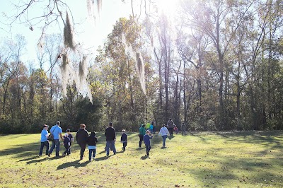 Forest Community Park photo 5