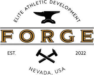 FORGE Elite Athletic Development photo 2