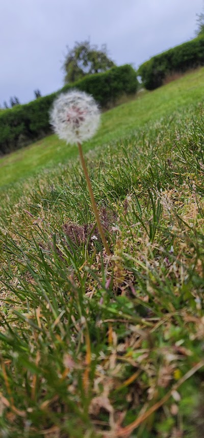 Fort Steilacoom Park Field photo 2