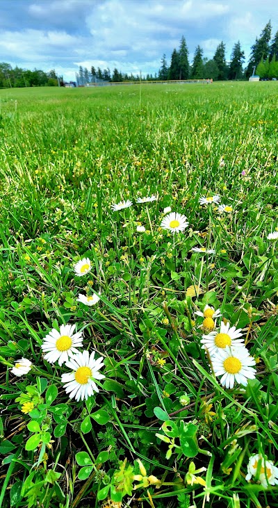 Fort Steilacoom Park Field photo 3