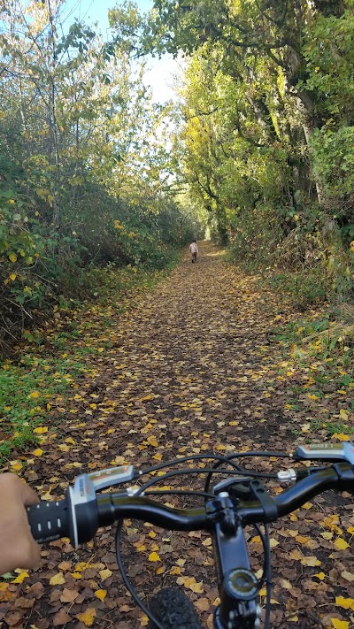 Fort Steilacoom Park Field photo 4