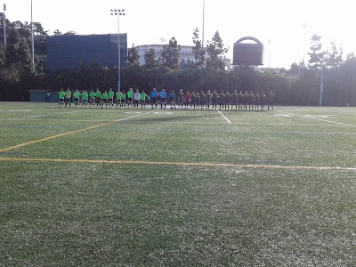 Fowler Park and Cunningham Field photo 2