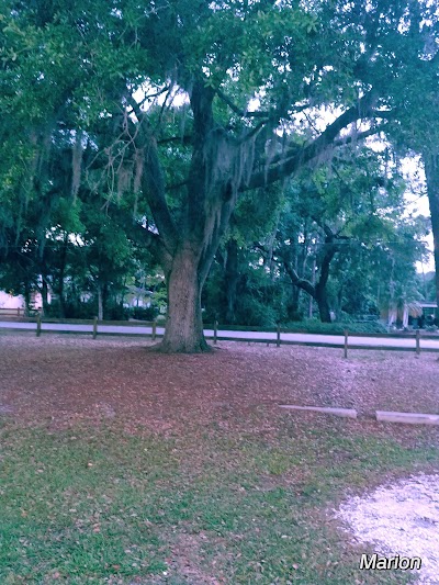 Fruitville Park Softball Fields photo 5