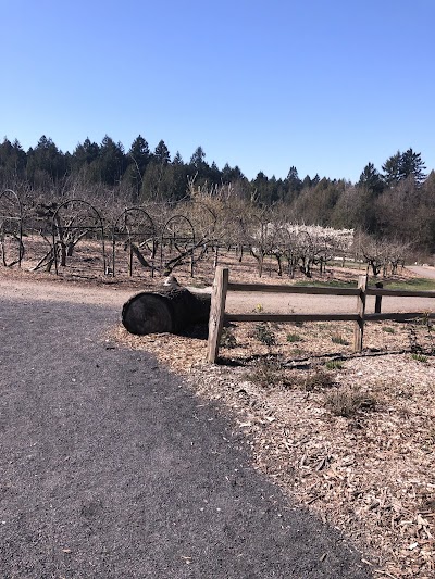Gabriel Park Softball Field 4 photo 2