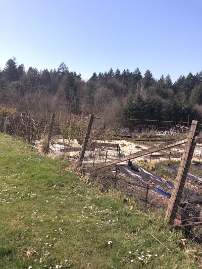 Gabriel Park Softball Field 4 photo 4