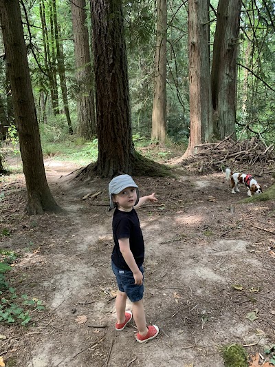 Gabriel Park Softball Field 4 photo 5