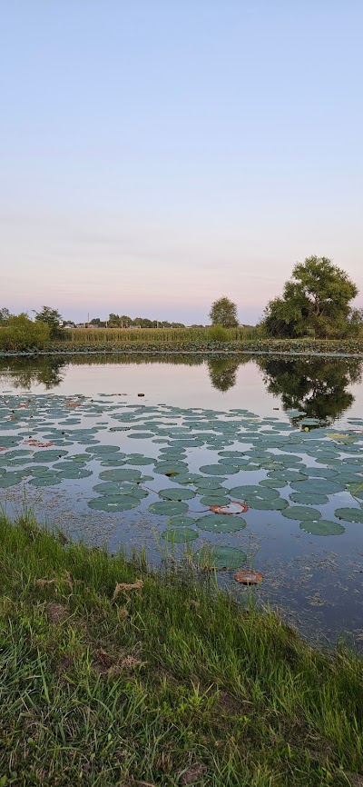 Galloway Sports Complex photo 3