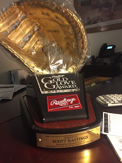 Gators Baseball photo 4