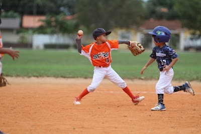 GBSL Baseball & Softball League photo 2