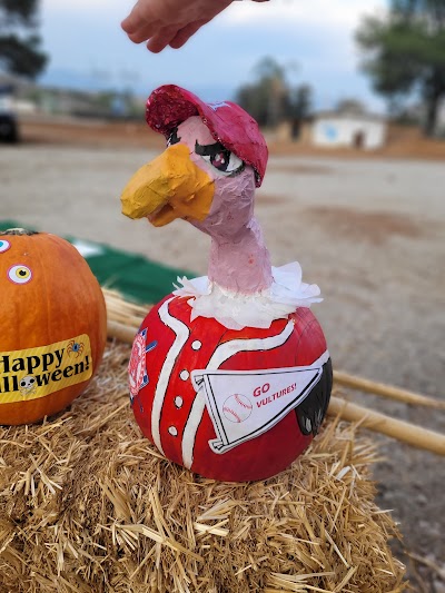 Granada Hills Little League photo 5