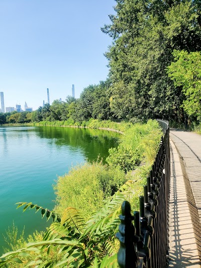 Great Lawn Softball Field #1 photo 4