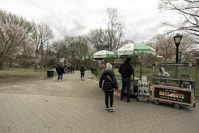 Great Lawn Softball Field #2 photo 3