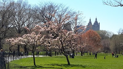Great Lawn Softball Field #2 photo 5