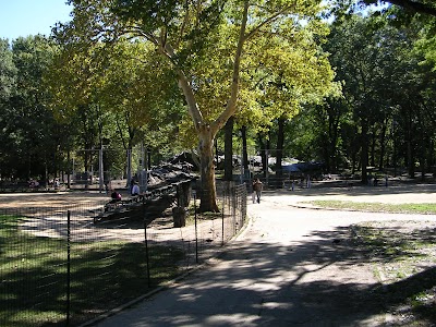 Great Lawn Softball Field #3 photo 2