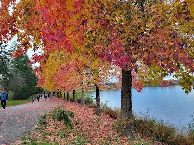 Green Lake Park photo 5