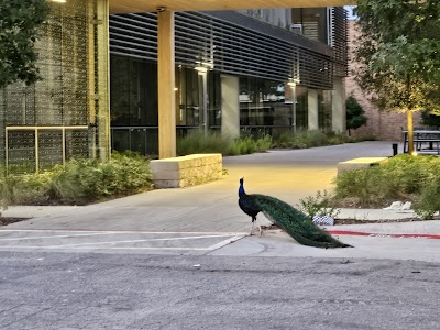 Greenhill School Softball Field