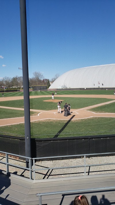 Greyhound Park photo 2
