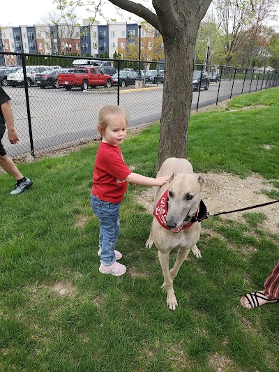 Greyhound Park photo 5
