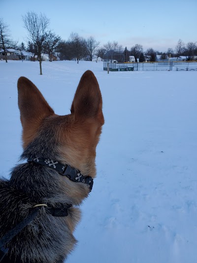 Hamilton Park Little League photo 4