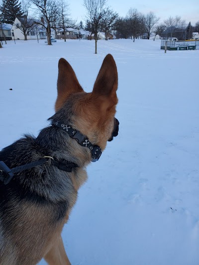 Hamilton Park Little League photo 5