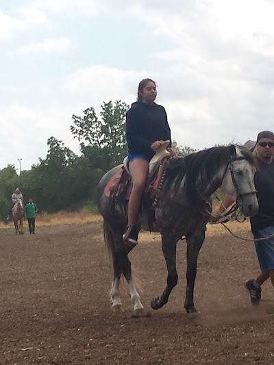 Hansen Dam Baseball Fields photo 2