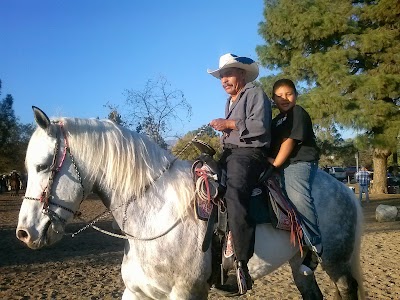 Hansen Dam Baseball Fields photo 3