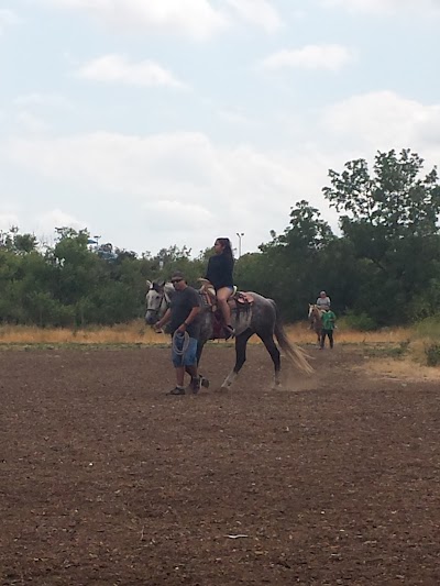 Hansen Dam Baseball Fields photo 4