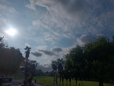 Harbor Sports Complex photo 5