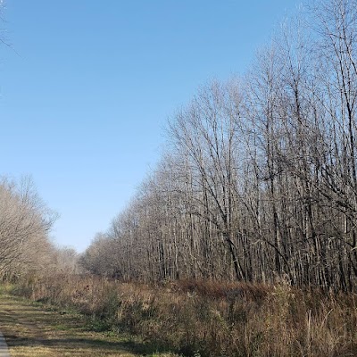 Harrisburg Road Sports Complex photo 5