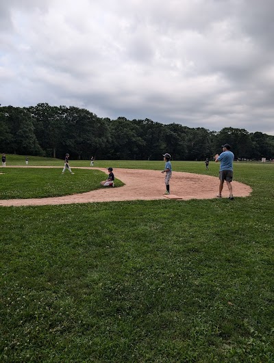 Harry Downes Field photo 3