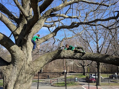 Harry Downes Field photo 4