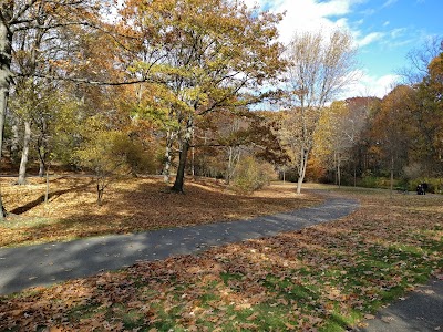 Harry Downes Field photo 5