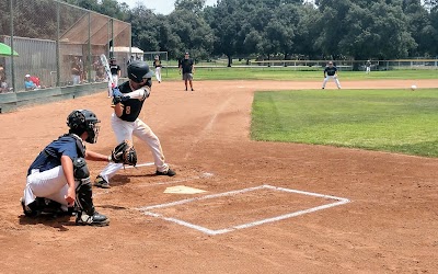 Heartwell Cal Ripken Babe Ruth